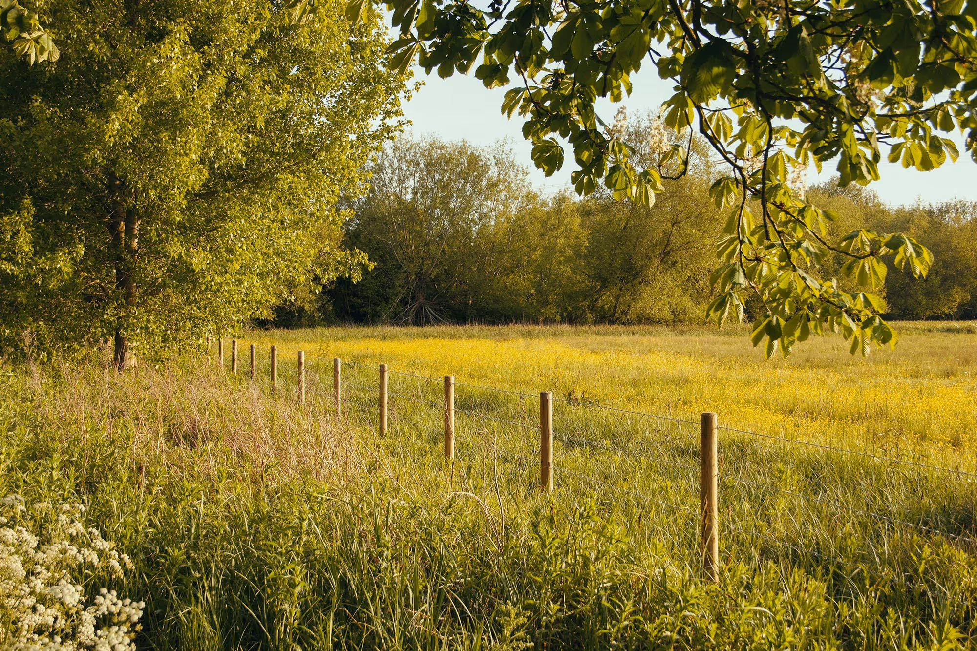 Raw land ready for development
